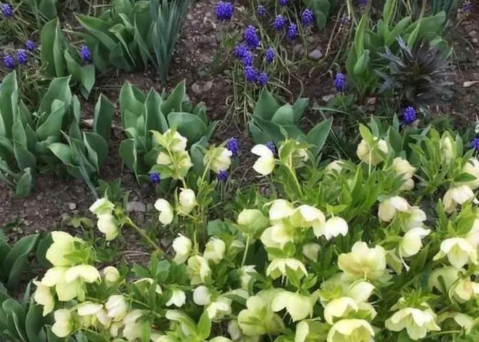 Mit Bergblick By Interhome